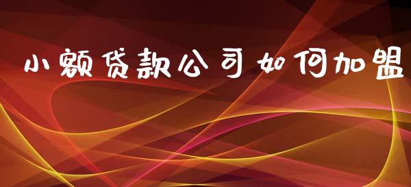 小额贷款公司如何加盟_https://m.gongyisiwang.com_商业资讯_第1张