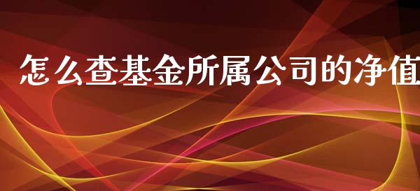 怎么查基金所属公司的净值_https://m.gongyisiwang.com_商业资讯_第1张