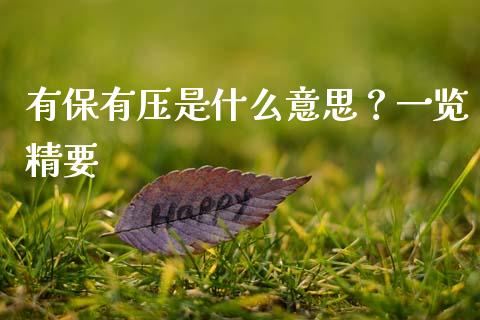 有保有压是什么意思？一览精要_https://m.gongyisiwang.com_商业资讯_第1张