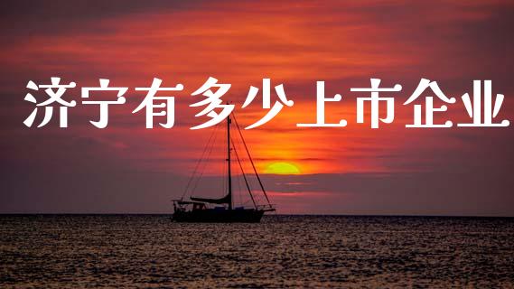 济宁有多少上市企业_https://m.gongyisiwang.com_商业资讯_第1张