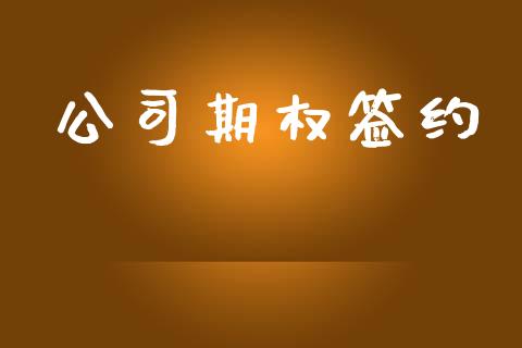 公司期权签约_https://m.gongyisiwang.com_财经咨询_第1张