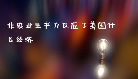 非农业生产力反应了美国什么经济_https://m.gongyisiwang.com_财经咨询_第1张