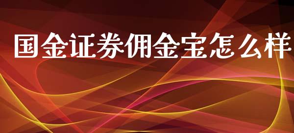 国金证券佣金宝怎么样_https://m.gongyisiwang.com_保险理财_第1张