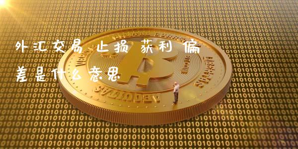 外汇交易 止损 获利 偏差是什么意思_https://m.gongyisiwang.com_财经咨询_第1张