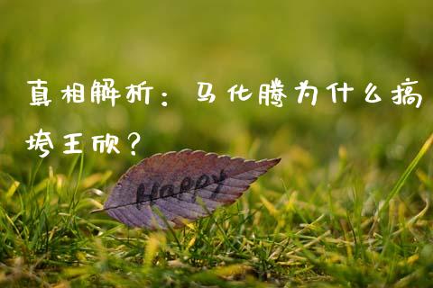 真相解析：马化腾为什么搞垮王欣？_https://m.gongyisiwang.com_理财投资_第1张