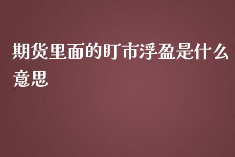 期货里面的盯市浮盈是什么意思_https://m.gongyisiwang.com_信托投资_第1张