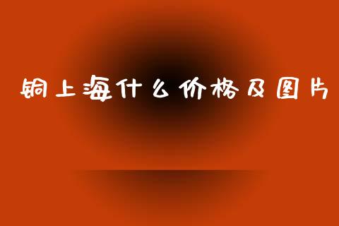 铜上海什么价格及图片_https://m.gongyisiwang.com_债券咨询_第1张