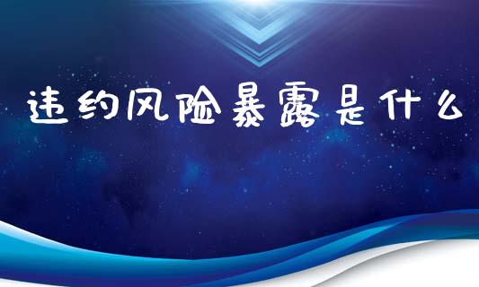 违约风险暴露是什么_https://m.gongyisiwang.com_信托投资_第1张