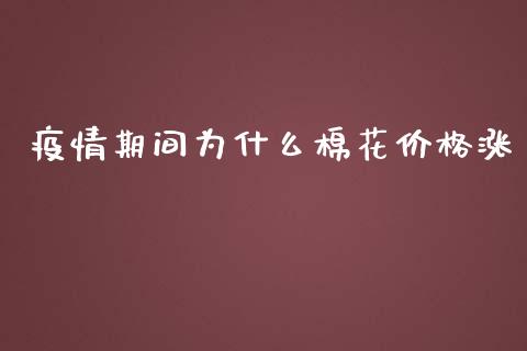 疫情期间为什么棉花价格涨_https://m.gongyisiwang.com_信托投资_第1张