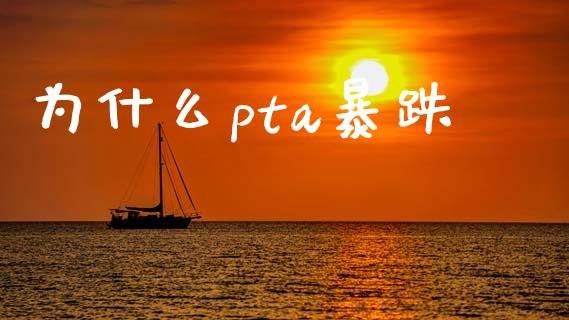 为什么pta暴跌_https://m.gongyisiwang.com_信托投资_第1张