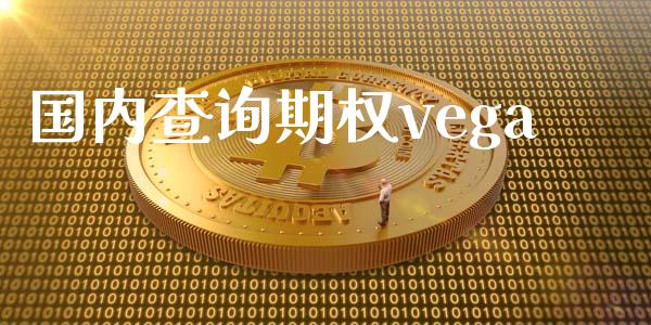 国内查询期权vega_https://m.gongyisiwang.com_信托投资_第1张