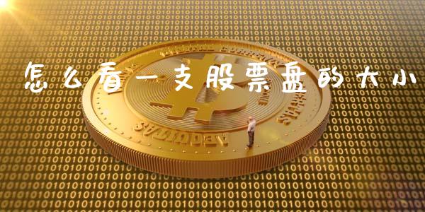 怎么看一支股票盘的大小_https://m.gongyisiwang.com_理财产品_第1张