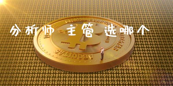 分析师 主管 选哪个_https://m.gongyisiwang.com_债券咨询_第1张