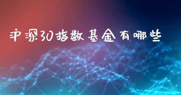沪深30指数基金有哪些_https://m.gongyisiwang.com_理财投资_第1张