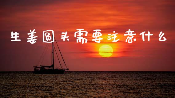 生姜圆头需要注意什么_https://m.gongyisiwang.com_理财产品_第1张