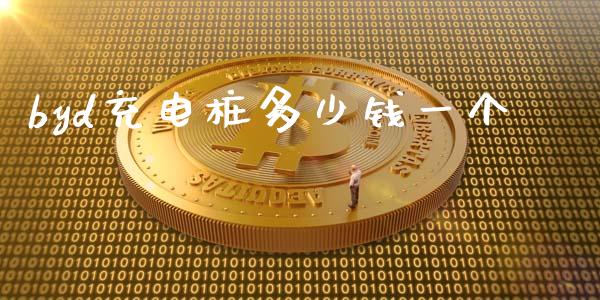 byd充电桩多少钱一个_https://m.gongyisiwang.com_财经时评_第1张