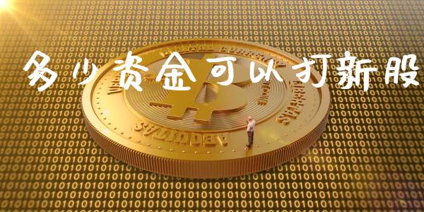 多少资金可以打新股_https://m.gongyisiwang.com_财经时评_第1张