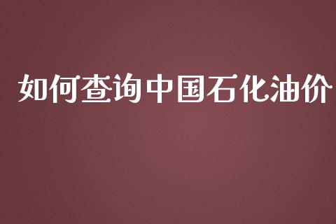 如何查询中国石化油价_https://m.gongyisiwang.com_财经咨询_第1张