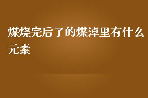 煤烧完后了的煤淖里有什么元素_https://m.gongyisiwang.com_商业资讯_第1张