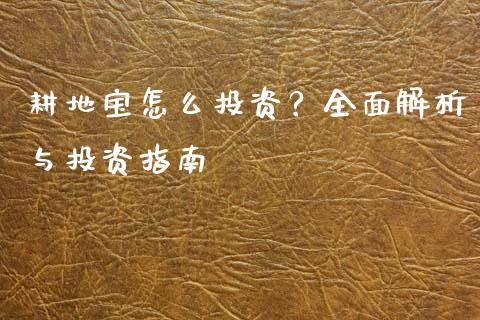 耕地宝怎么投资？全面解析与投资指南_https://m.gongyisiwang.com_商业资讯_第1张