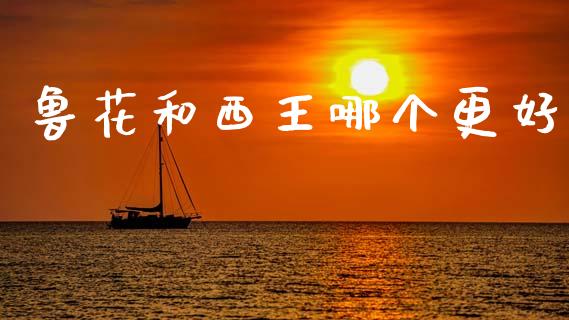 鲁花和西王哪个更好_https://m.gongyisiwang.com_商业资讯_第1张