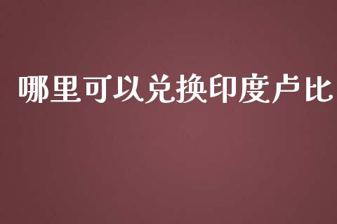 哪里可以兑换印度卢比_https://m.gongyisiwang.com_保险理财_第1张