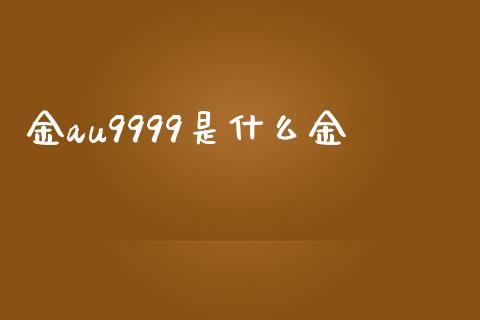 金au9999是什么金_https://m.gongyisiwang.com_理财产品_第1张