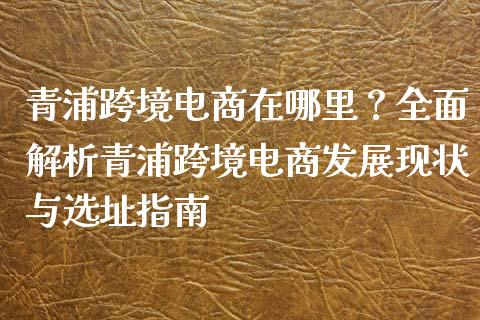 青浦跨境电商在哪里？全面解析青浦跨境电商发展现状与选址指南_https://m.gongyisiwang.com_商业资讯_第1张