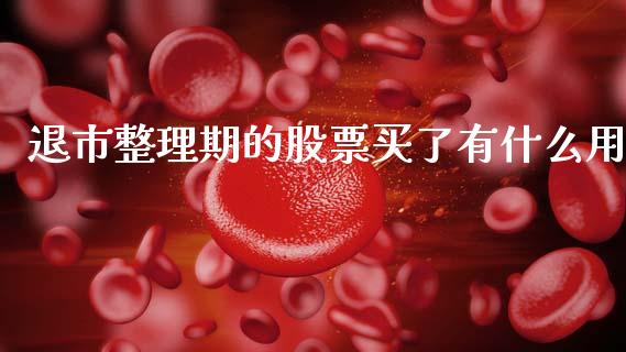 退市整理期的股票买了有什么用_https://m.gongyisiwang.com_财经咨询_第1张