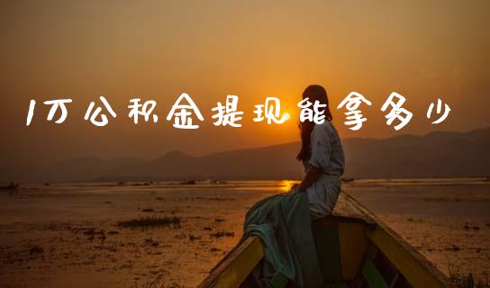 1万公积金提现能拿多少_https://m.gongyisiwang.com_信托投资_第1张
