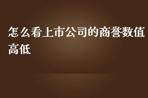 怎么看上市公司的商誉数值高低_https://m.gongyisiwang.com_债券咨询_第1张